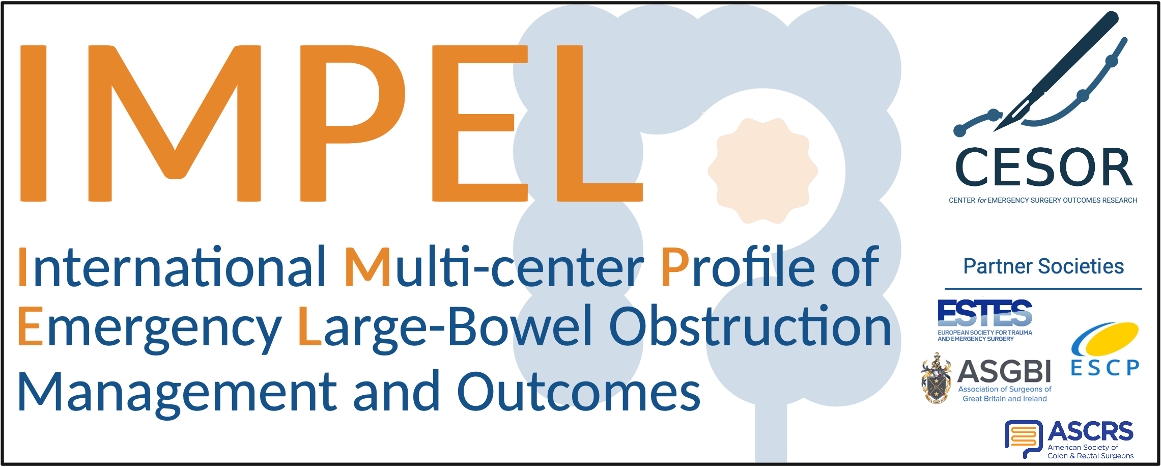 IMPEL logo